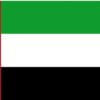 bandiera emirati arabi uniti